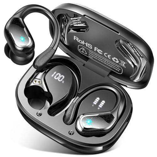 Ltinist Earbuds